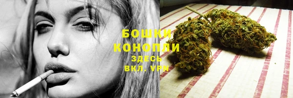 молекула духа Аркадак
