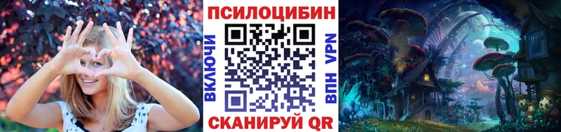 где купить наркоту  Куса  Галлюциногенные грибы Psilocybe 
